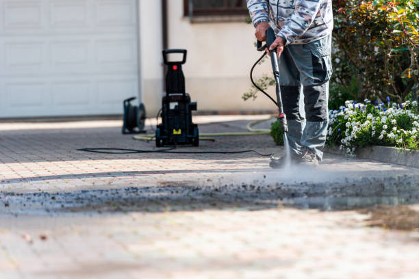 Best Roof Pressure Washing  in Ship Bottom, NJ